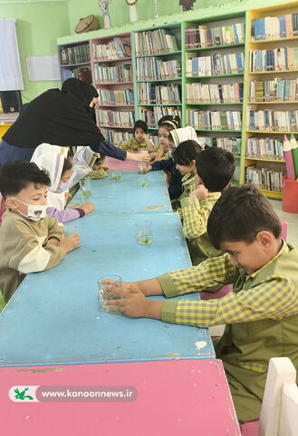 هفته پژوهش در مرکز بردخون