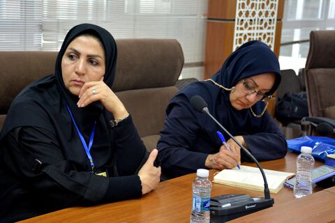 نشست تخصصی «عرفان و کودکی» با حضور دکتر محسن ربانی