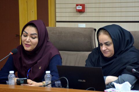 نشست تخصصی «عرفان و کودکی» با حضور دکتر محسن ربانی