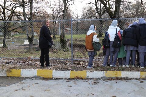 مرحله استانی جشنواره قصه گویی مازندران، چالوس -  صبح روز اول