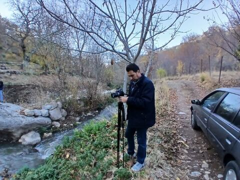 کرمانشاه.  سرزمین مادری
