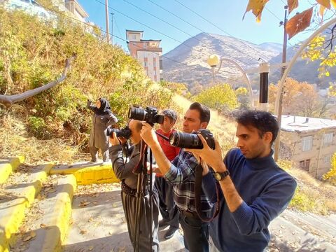 کرمانشاه.  سرزمین مادری