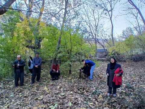 کرمانشاه.  سرزمین مادری