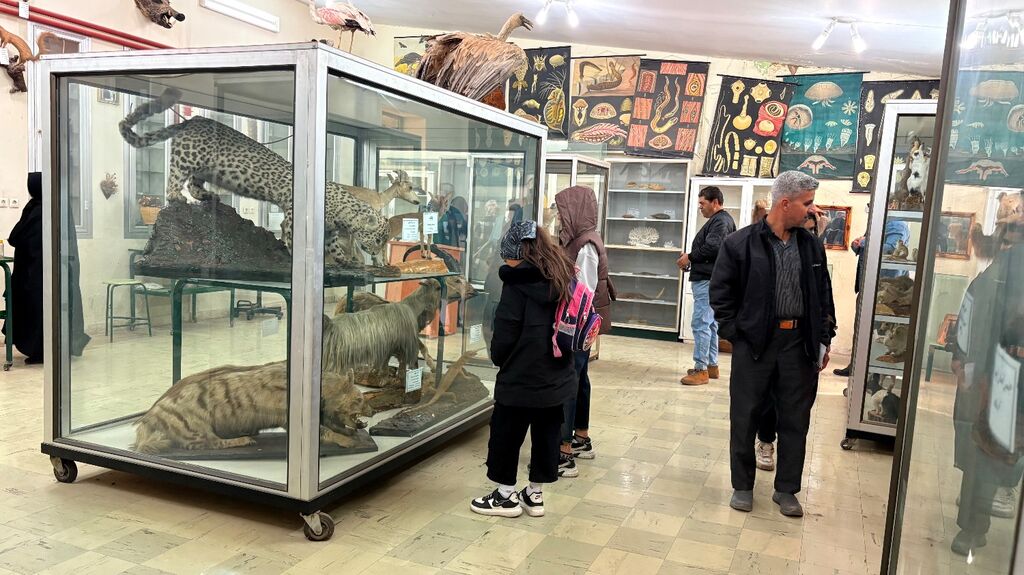 کانون مرکز پاسارگاد نوجوانان را با تجربه علمی از طبیعت تا دام‌پروری همراه کرد