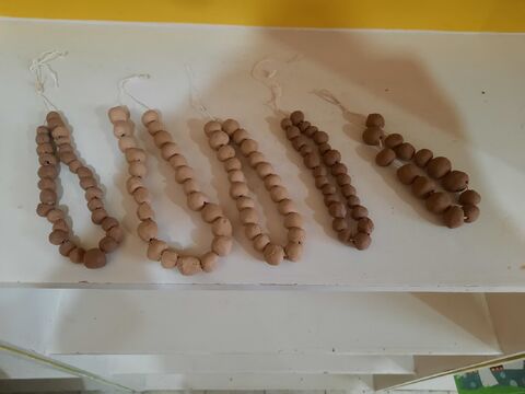 پویش تسبیح_مرکزی