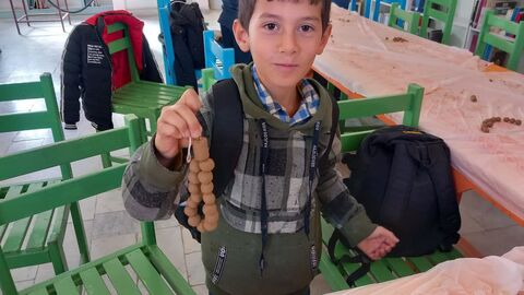 پویش تسبیح_مرکزی