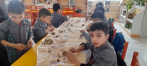 پویش تسبیح_مرکزی