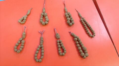 پویش تسبیح_مرکزی