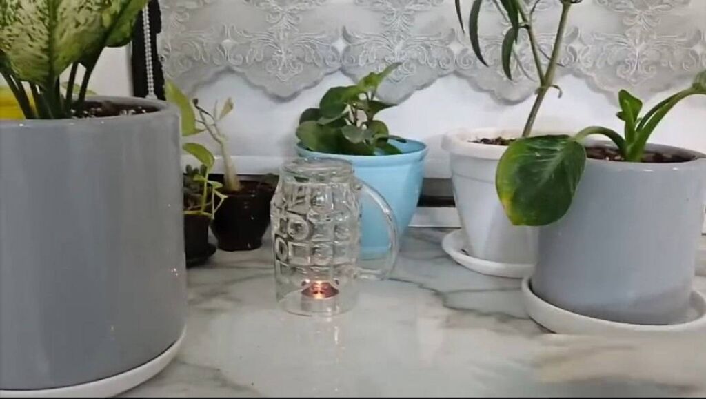 «شمعی که در حضور گیاه دیرتر خاموش شد؛ تجربه علمی کودکان مرکز ۲۳»