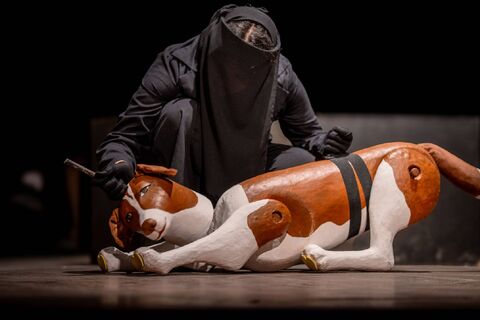 نمایش‌ هاپولری کانون گلستان در  جشنواره تئاتر منطقه‌ای  کاسپین