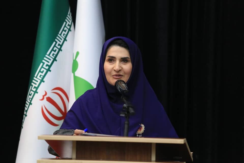 بیانیه هیات داوران مرحله استانی بیست و هفتمین جشنواره بین المللی قصه گویی هرمزگان