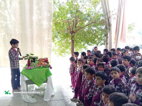 ویژه برنامه های روزبصیرت و پدر در مراکز کانون استان بوشهر به روایت تصویر