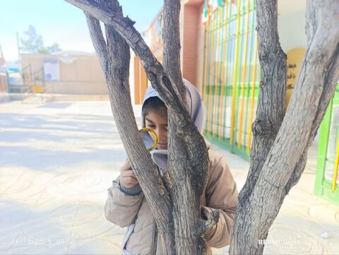 خراسان جنوبی