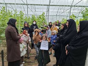 بازدید علمی اعضاء کانون مرکز ارسنجان از گلخانه نمونه خیارسبز