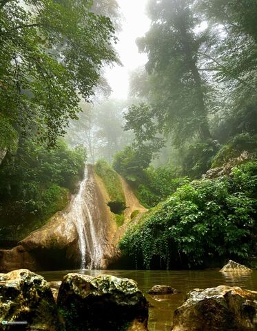 حامد ممشلی گالیکش