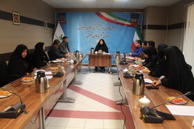 برگزاری جلسه هماهنگی ستاد کمیته کودک و نوجوان دهه فجر انقلاب اسلامی