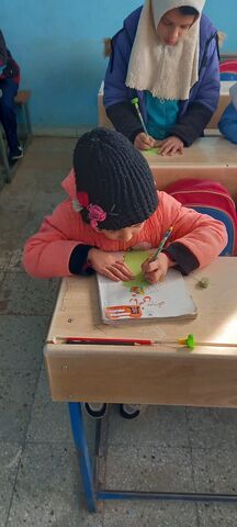 خراسان جنوبی