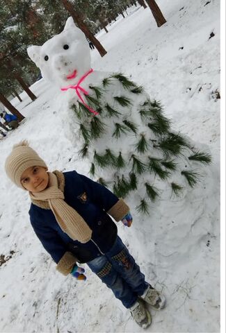 کرمانشاه. برف