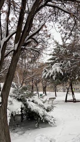 کرمانشاه. برف