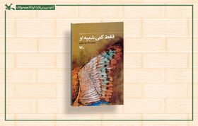 کتاب «فقط کمی شبیه او» منتشر شد