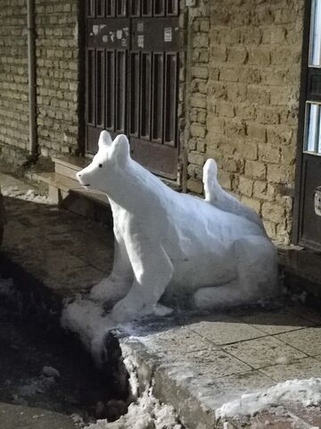 کرمانشاه.  مربیان و اعضا در روزهای برفی