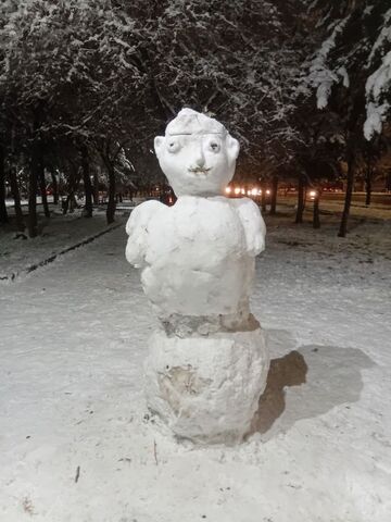 کرمانشاه.  مربیان و اعضا در روزهای برفی