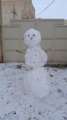 کرمانشاه.  مربیان و اعضا در روزهای برفی