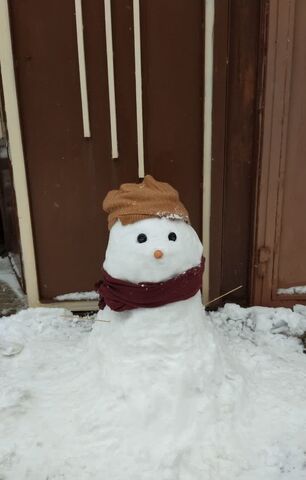 کرمانشاه. قاب برفی روز برفی اعضا و مربیان