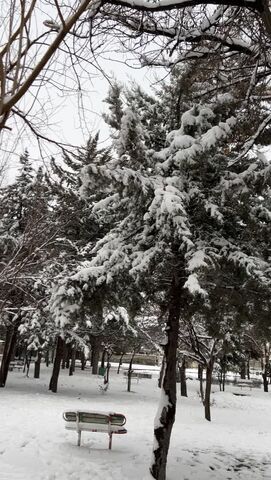 کرمانشاه. قاب برفی روز برفی اعضا و مربیان