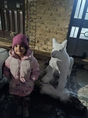 کرمانشاه. قاب برفی روز برفی اعضا و مربیان