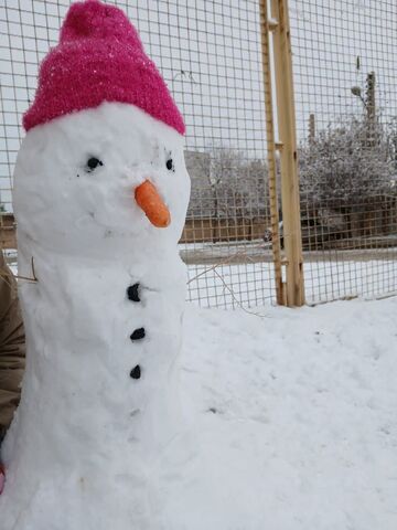 کرمانشاه. قاب برفی روز برفی اعضا و مربیان