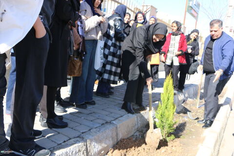 دو پنجره.سمنان