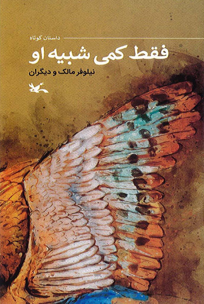 کتاب «فقط کمی شبیه او» منتشر شد