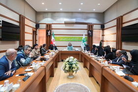 تدارک ۲۲ غرفه در مسیر راهپیمایی/ استفاده از ظرفیت هنرمندان و نویسندگان نام‌آشنا دربرنامه‌های دهه فجر