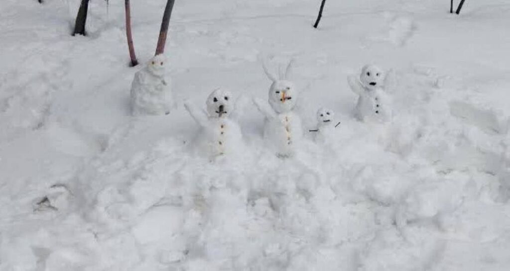 کانون کرمانشاه حتی با برف هم خلاقیت میآفریند