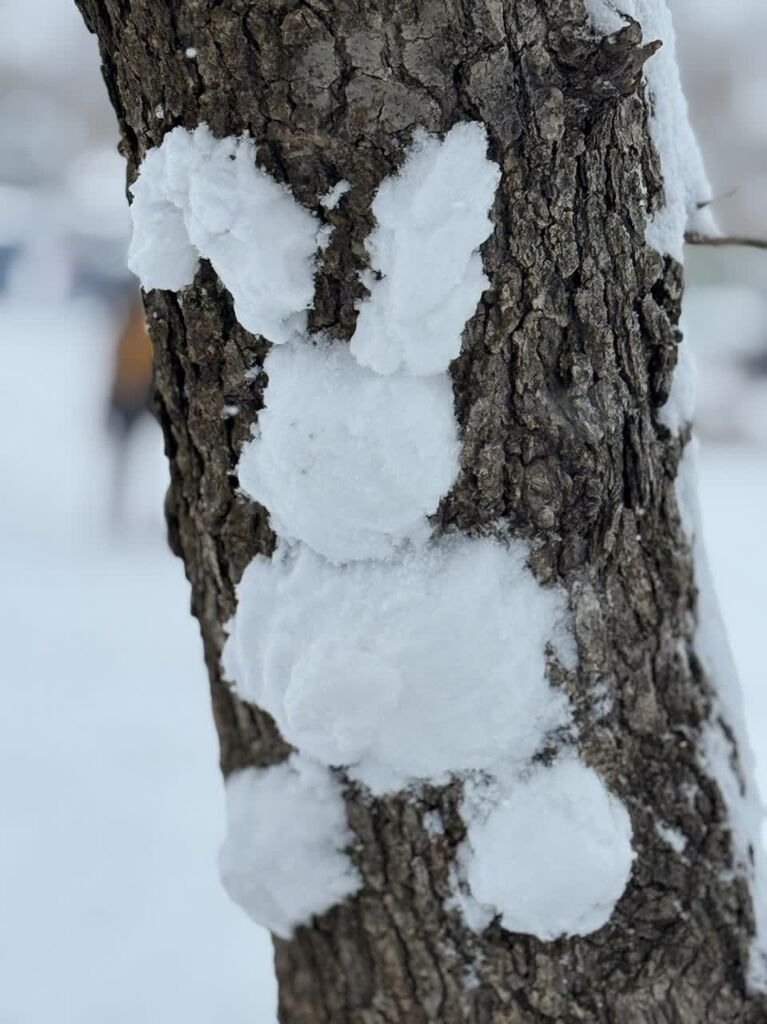 کانون کرمانشاه حتی با برف هم خلاقیت می‌آفریند