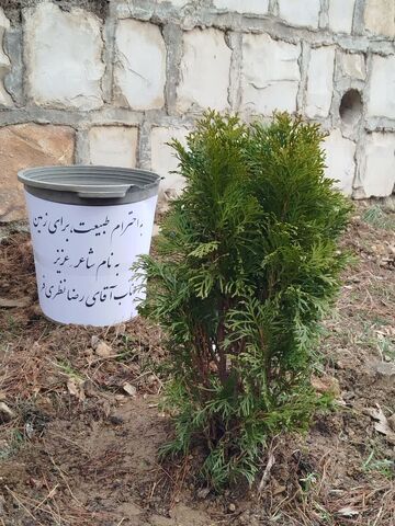 کرمانشاه.  مرکز شماره ۲صحنه. دیدار دوست