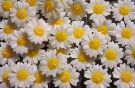 حال و هوایی دیگر، در مراکز فرهنگی هنری کانون استان قم همزمان با ایام دهه فجر و جشن بزرگ نیمه شعبان