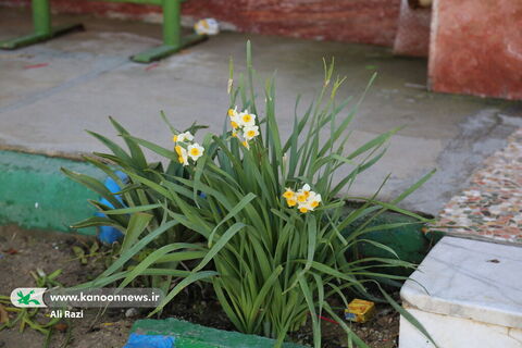 "پیک امید"کانون استان بوشهر در شهر کلمه