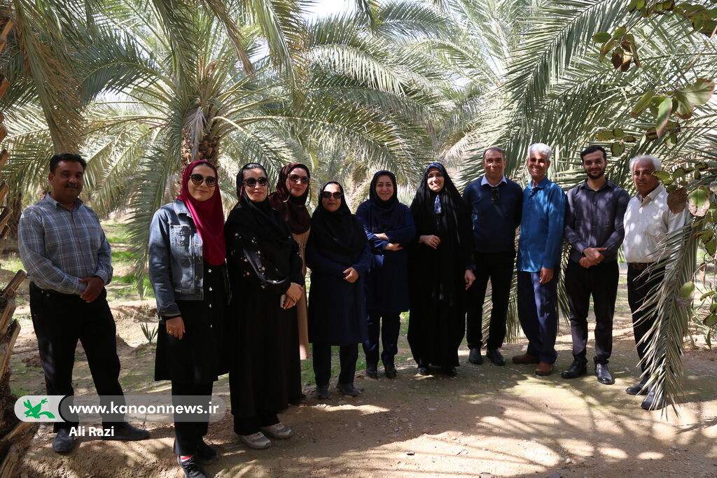 پیاده‌روی کارکنان کانون استان بوشهر در گرامیداشت دهه مبارک فجر