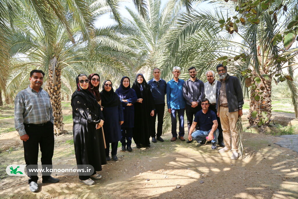 پیادهروی کارکنان کانون استان بوشهر در گرامیداشت دهه مبارک فجر