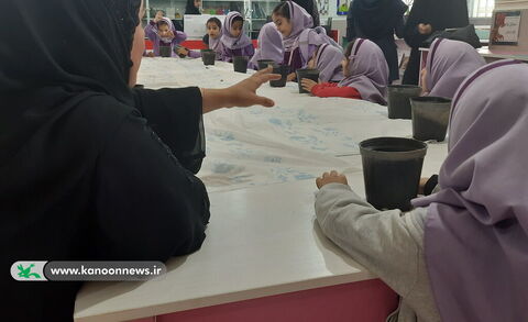 مرکز فرهنگی هنری نخل تقی