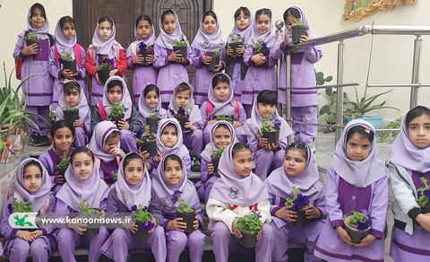 مرکز فرهنگی هنری نخل تقی