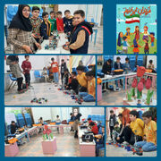 پویش «فرزندان ایرانیم» با مسابقات رباتیک برگزار شد