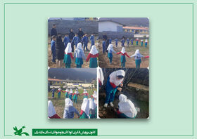 طرح "سفیران سبز" با مشارکت کانون پرورش فکری در هچیرود برگزار شد؛ دانش‌آموزان ۱۰ نهال کاشتند
