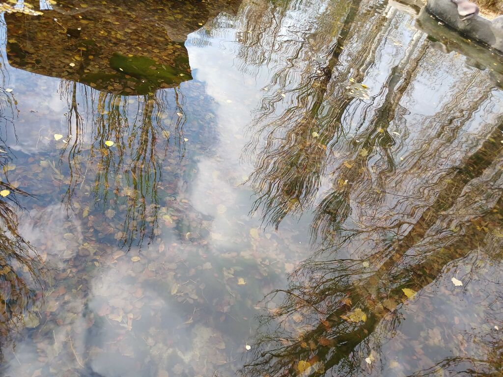 درخشش اعضای کانون آذربایجان شرقی در دهمین دوسالانه ملی هنرهای تجسمی