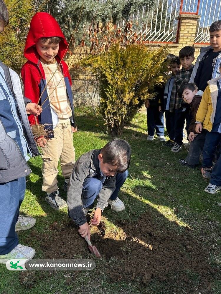کاشت نهال توسط دانش‌آموزان مریوانی در راستای اجرای برنامه سفیران سبز