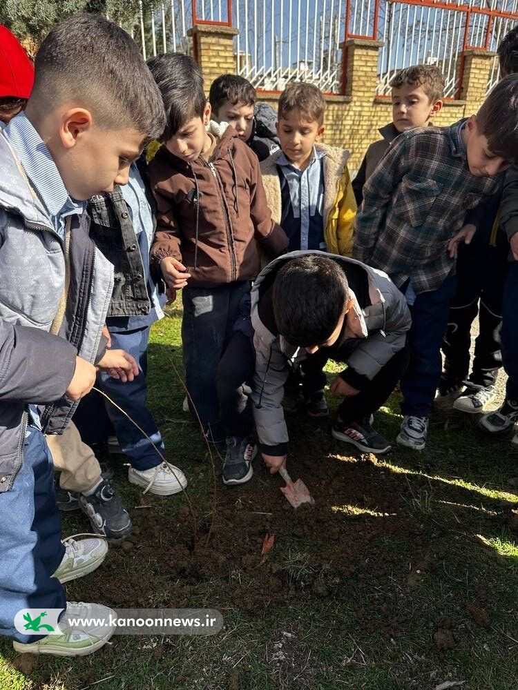 کاشت نهال توسط دانشآموزان مریوانی در راستای اجرای برنامه سفیران سبز