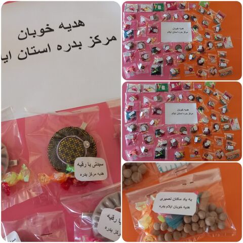 گزارش تصویری پویش هدیه خوبان ( دست سازه ها) در مراکز استان ایلام