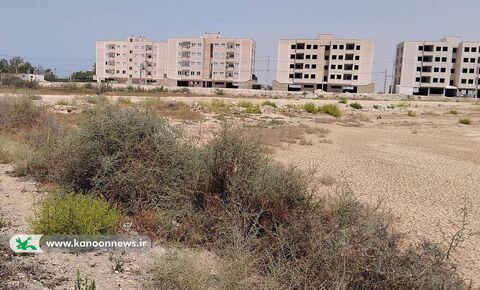 آلبوم تصویری افتتاح پایگاه موقت فرهنگی کانون استان بوشهر در شهر امام حسن